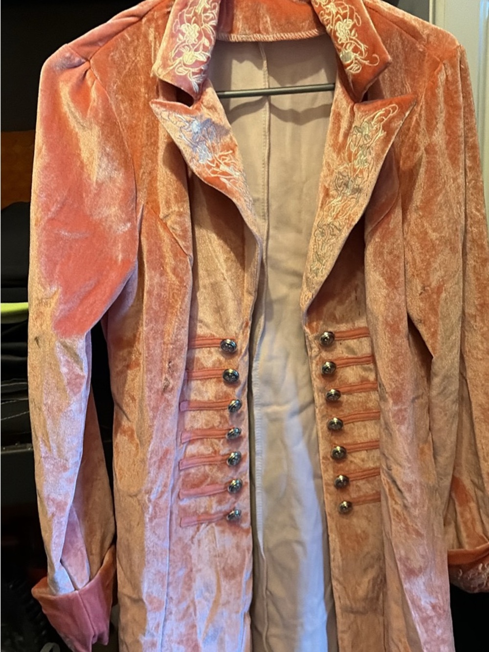 Vintage-Inspired Pink Velvet Women's Coat with Embroidered Collar.. Halloween ??
